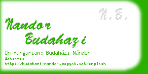 nandor budahazi business card